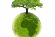 Colectare Deseuri Colectare Deseuri Industriale Vrancea