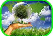 Colectare Deseuri Colectare Deseuri Industriale Vrancea