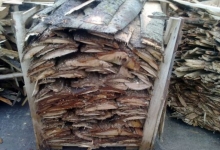 Colectare Deseuri ECO WORLD PRODUCTION SRL 