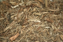 Colectare Deseuri ECO WORLD PRODUCTION SRL 