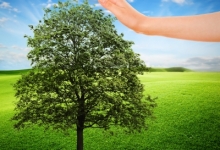 Colectare Deseuri Eco Serv International - Colectare Deseuri Textile Bucuresti