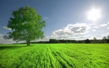 Colectare Deseuri Eco Serv Recycle SRL