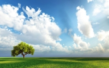 Colectare Deseuri Sistem Eco Prest