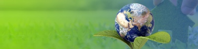 eco_400_01